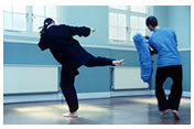 Kung Fu & Ju Jitsu side kick